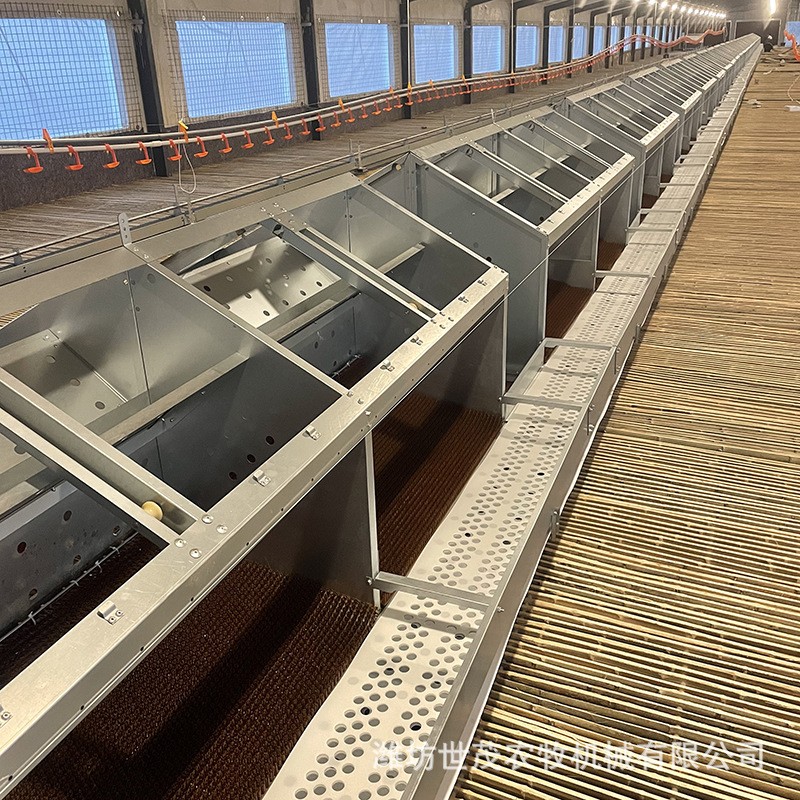 自动产蛋箱 禽畜自动产蛋设备 厂家供应框架式蛋箱图4