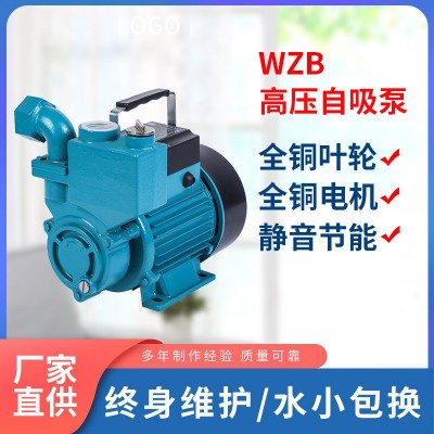 水泵家用自来水自吸增压泵全自动静音加压泵220v高扬程水井抽水泵