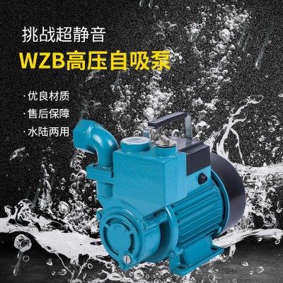 水泵家用自来水自吸增压泵全自动静音220v高扬程水井抽水泵定制