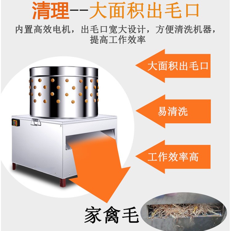 不锈钢家禽脱毛机40型大小鸟类鸽子鹌鹑鸡鸭鹅电动打毛机厂家直销图4