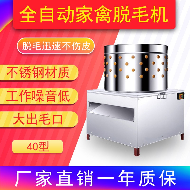 不锈钢家禽脱毛机40型大小鸟类鸽子鹌鹑鸡鸭鹅电动打毛机厂家直销