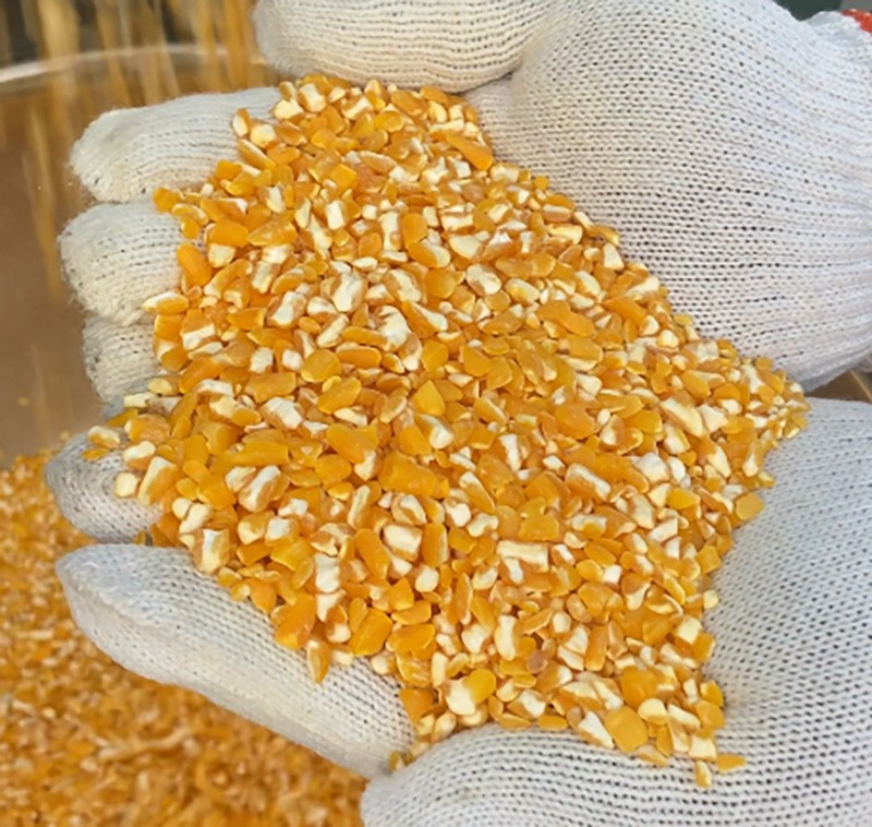 酿酒厂玉米去胚机脱胚机图5