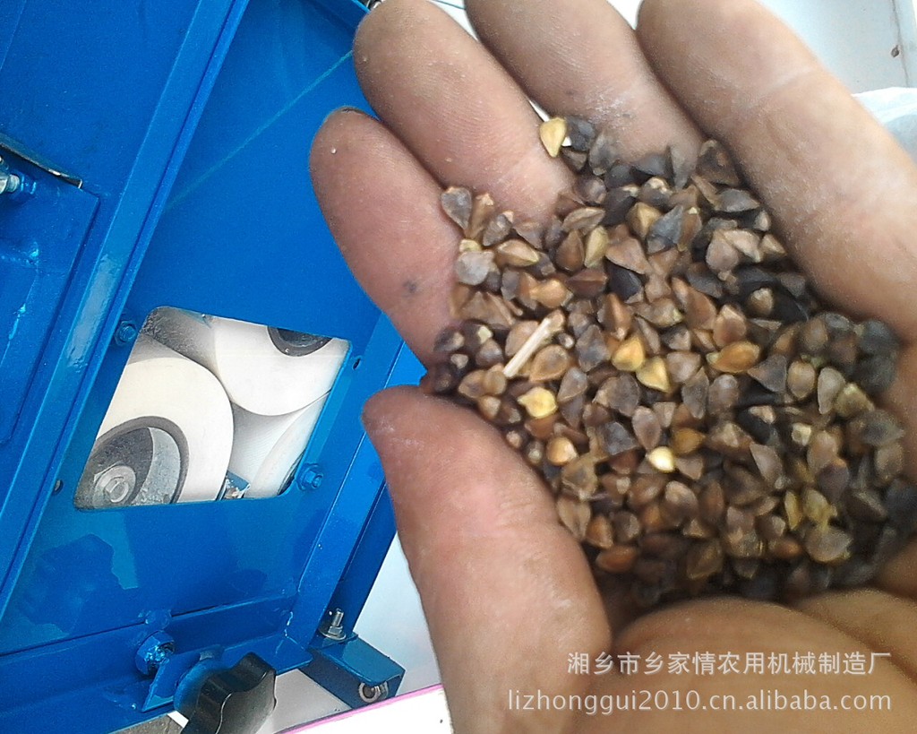 三胶辊砻谷机也可为荞麦剥壳