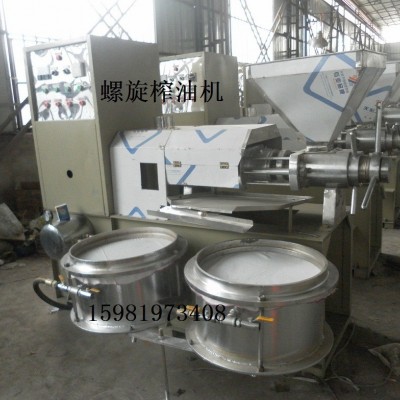 花生油压榨机 新型全自动螺旋榨油机 榨油机现货供应