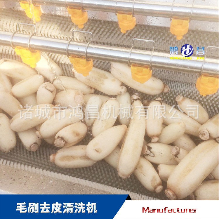 毛刷不锈钢去皮清洗机 山药去泥清洗机 滚筒式去皮清洗设备厂家图3
