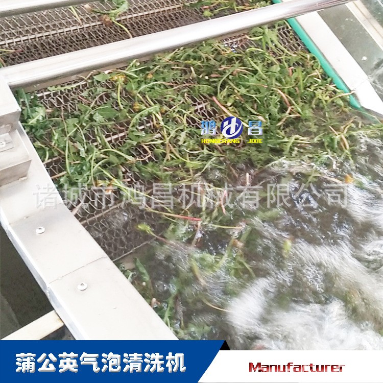 散装豆干熟食清洗风干流水线设备 果蔬气泡清洗机 油菜气泡清洗机图3