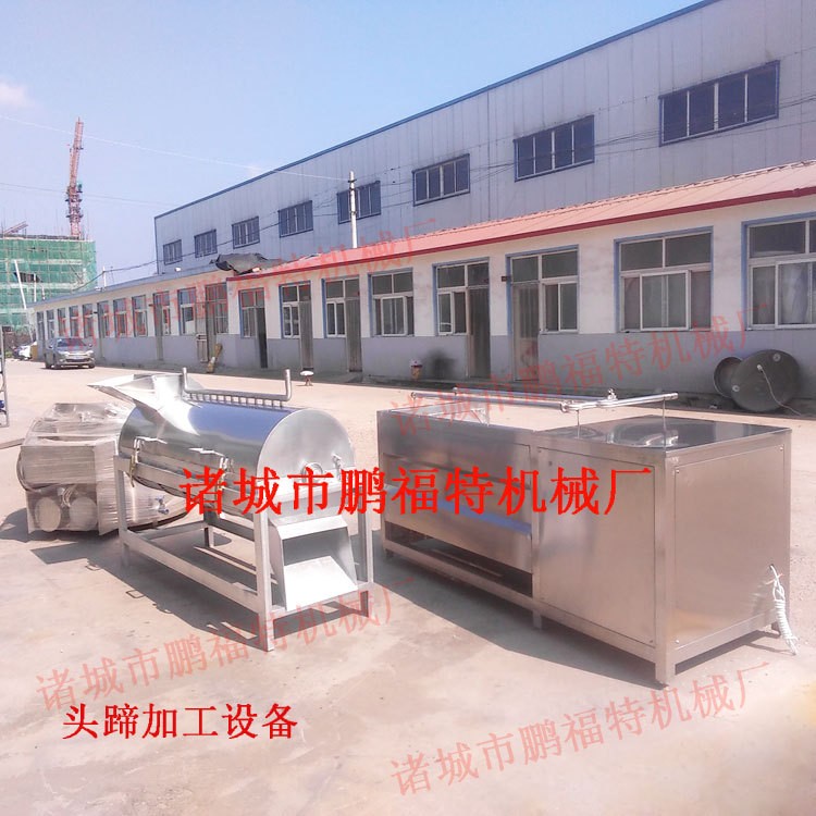 毛刷清洗机 连续猪头清洗机 鹏福特猪蹄清洗设备价格 量大优惠图2