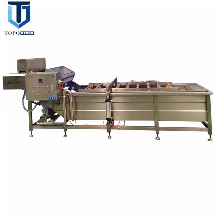 辣椒清洗机 不锈钢果蔬气泡清洗流水线 叶类蔬菜清洗设备图5