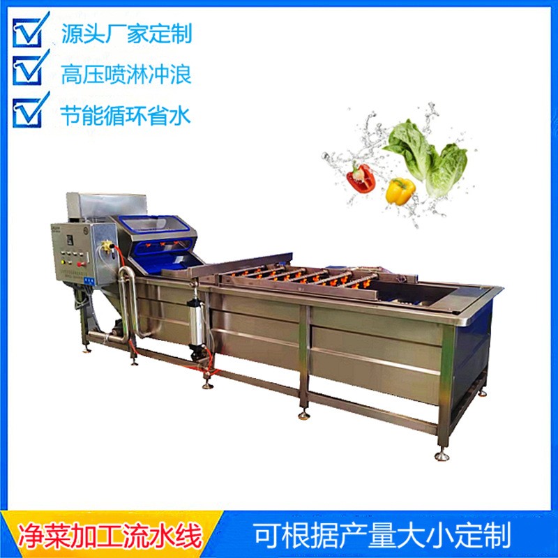 辣椒清洗机 不锈钢果蔬气泡清洗流水线 叶类蔬菜清洗设备图4