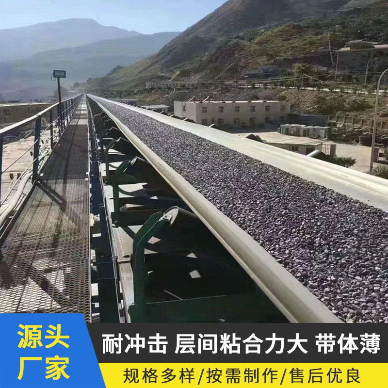 厂家供应尼龙橡胶输送带尼龙输送带运输机器传送带大倾角输送带