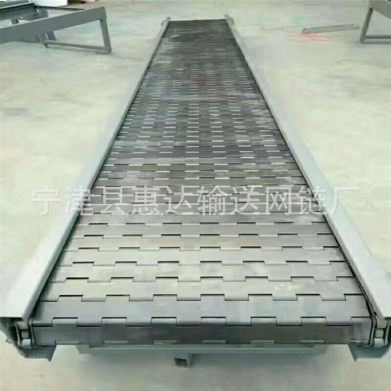 食品药品链板输送机 挡边网带链板输送机 厂家直供 批发定制图3