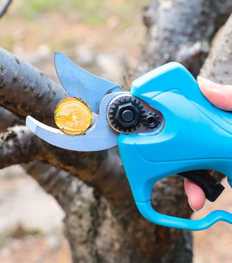 舒畅电动修枝剪园林锂电池剪刀修剪树枝粗枝剪电动果树剪刀果园剪图4