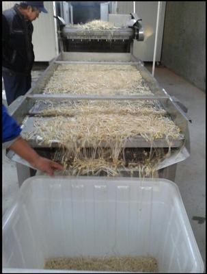 全自动豆芽去壳机-家用小型脱皮去壳筛-厂家直销振动去壳机械图5