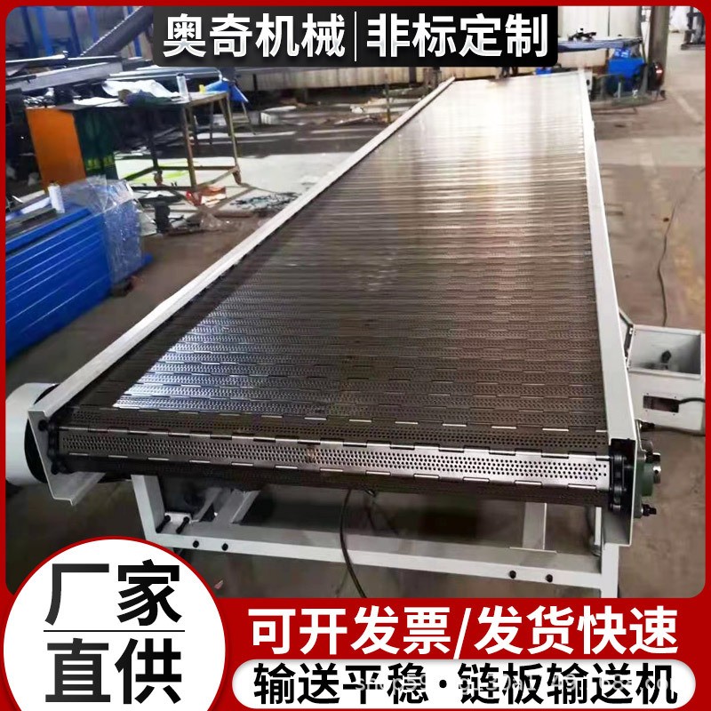 定制食品加工链板输送机流水线运输货物分拣线用板式链吨包传送机图3