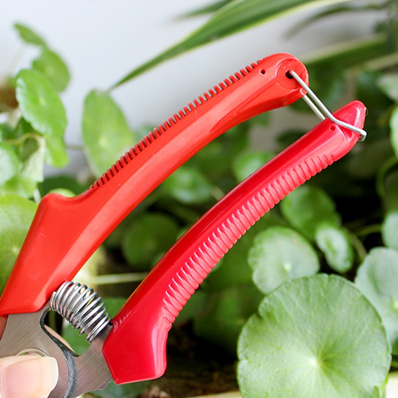 农用工具大蒜剪刀厂家65锰钢白头剪洋葱蒜胡头苗根茎大头蒜剪子图4