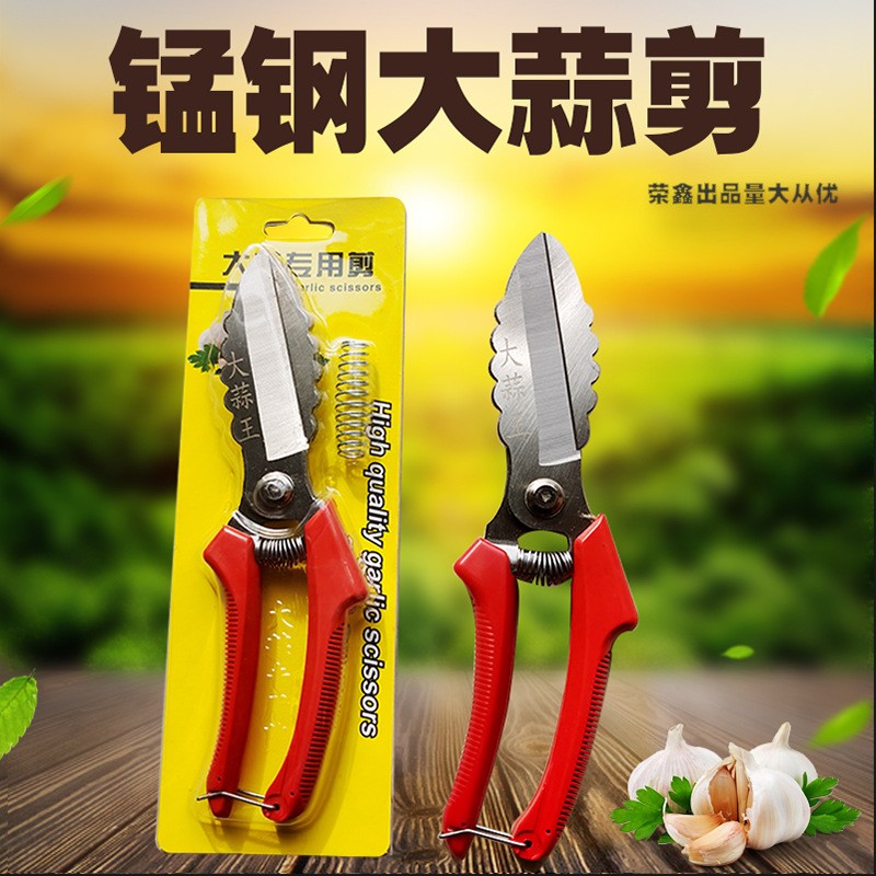 农用工具大蒜剪刀厂家65锰钢白头剪洋葱蒜胡头苗根茎大头蒜剪子