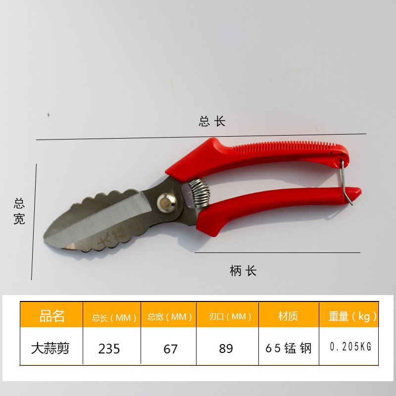 农用工具大蒜剪刀厂家65锰钢白头剪洋葱蒜胡头苗根茎大头蒜剪子图2