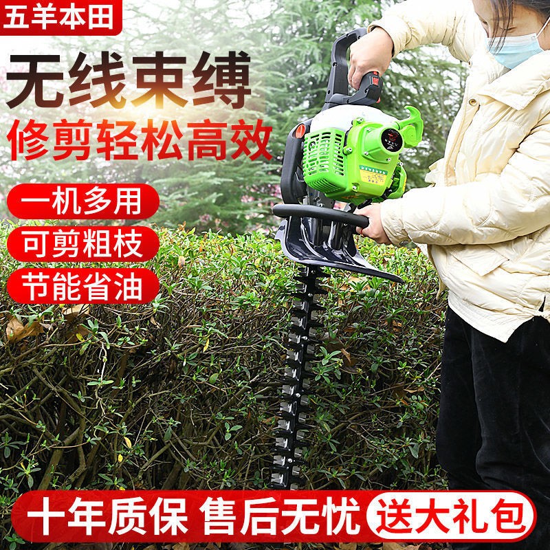 五羊本田汽油绿篱机茶树修剪机茶叶采茶机粗枝剪重修王剪茶机图3