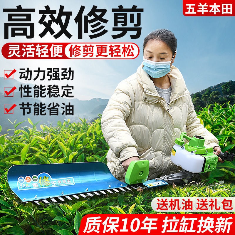 五羊本田汽油绿篱机茶树修剪机茶叶采茶机粗枝剪重修王剪茶机图2