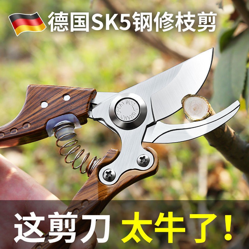 园林修枝剪园艺修剪树枝剪梳果修果树剪技修花剪刀省力粗枝剪子图4