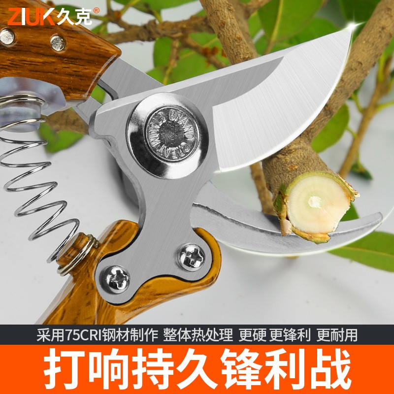 久克果树剪刀修枝剪果枝剪花枝剪园艺剪刀修剪树枝剪刀园林剪家用图3