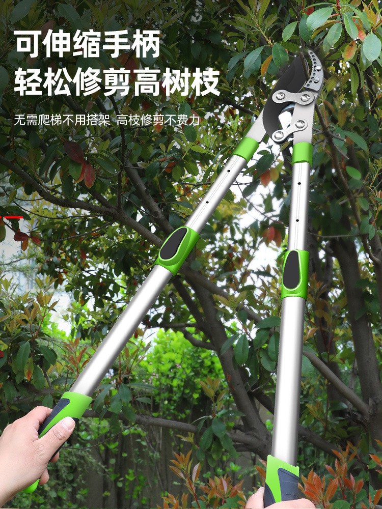久克园林剪枝剪刀果树修剪树枝强力粗枝剪园艺修枝剪大力剪刀省力图2