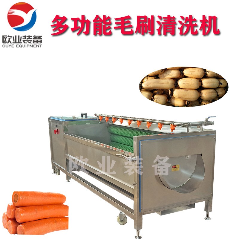 欧业毛刷清洗机 芋头去皮机 全自动小型莲藕脱皮机图3