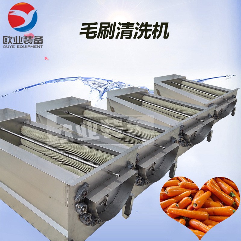 欧业毛刷清洗机 芋头去皮机 全自动小型莲藕脱皮机图4