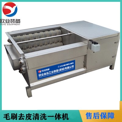 欧业毛刷清洗机 芋头去皮机 全自动小型莲藕脱皮机