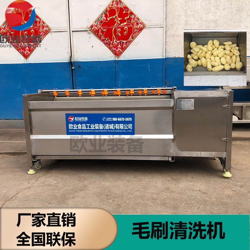 厂家生产嫩姜鲜姜去皮清洗机 304不锈钢毛辊清洗机 洗姜机图3