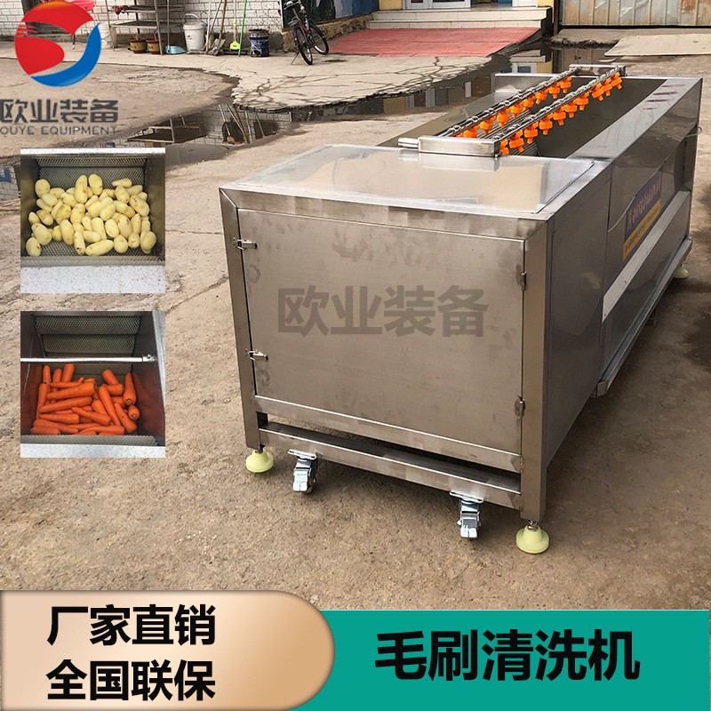 厂家生产嫩姜鲜姜去皮清洗机 304不锈钢毛辊清洗机 洗姜机图2