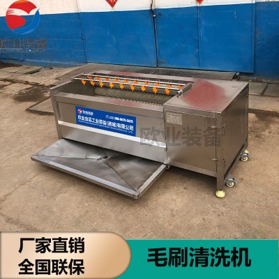 厂家生产嫩姜鲜姜去皮清洗机 304不锈钢毛辊清洗机 洗姜机