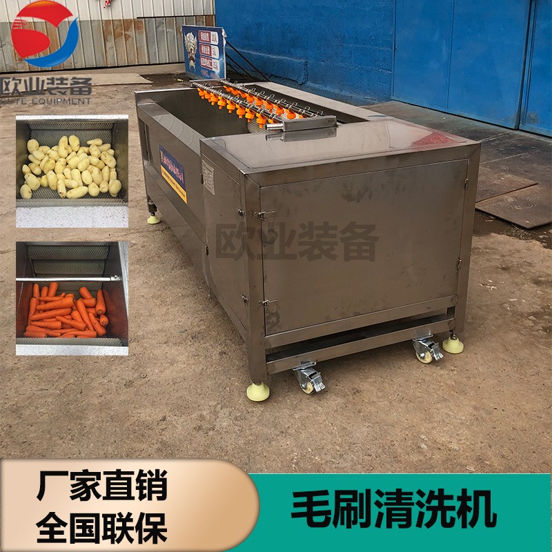 厂家生产嫩姜鲜姜去皮清洗机 304不锈钢毛辊清洗机 洗姜机图4