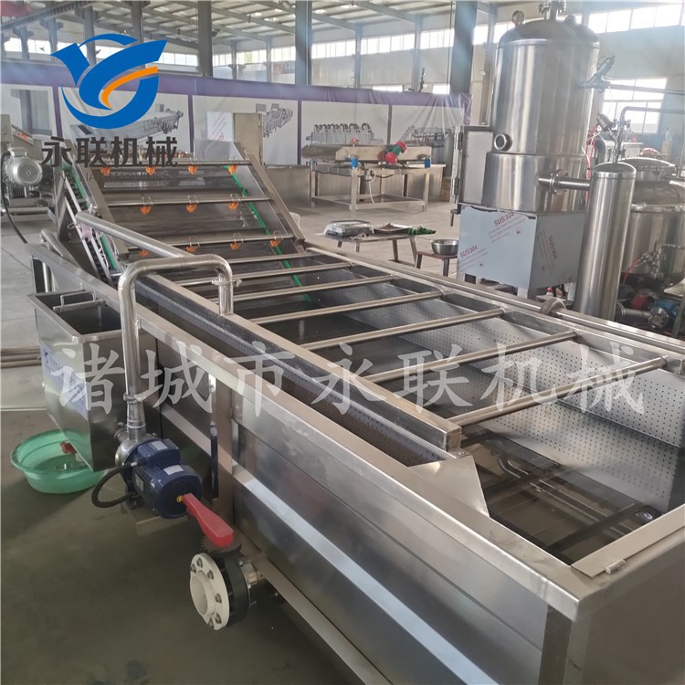 多功能果蔬清洗机 蔬菜清洗机 叶菜清洗设备 气泡翻浪清洗设备图2