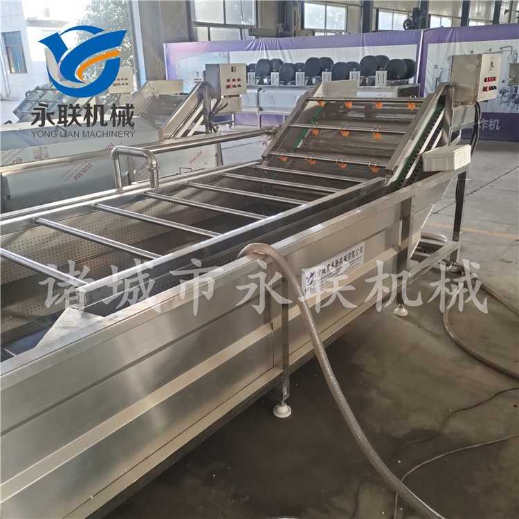 多功能果蔬清洗机 蔬菜清洗机 叶菜清洗设备 气泡翻浪清洗设备图4