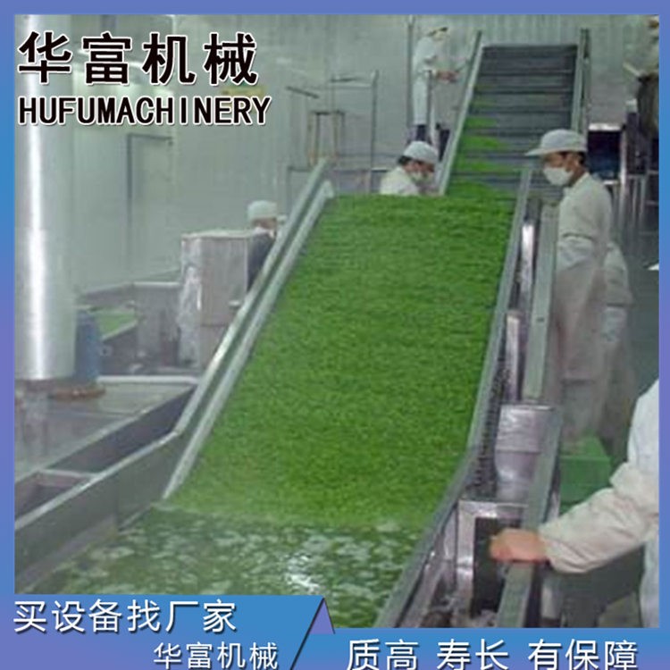 华富 叶茎类毛菜蔬菜设备 源头供应全自动果蔬清洗风干机图4