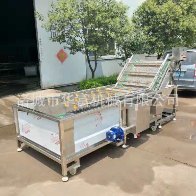 商用果蔬网带气泡清洗机 板栗坚果加工去杂设备 喷淋式净菜流水线