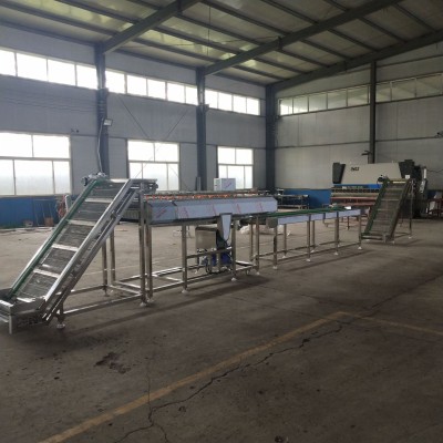 全自动毛豆清洗机 洗毛豆机器 质量保证 举报