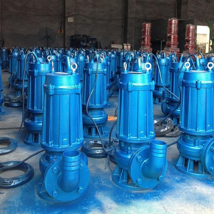 龙事达厂家供应 QW型污水泵 移动式潜水排污泵 不锈钢污水潜水泵图5