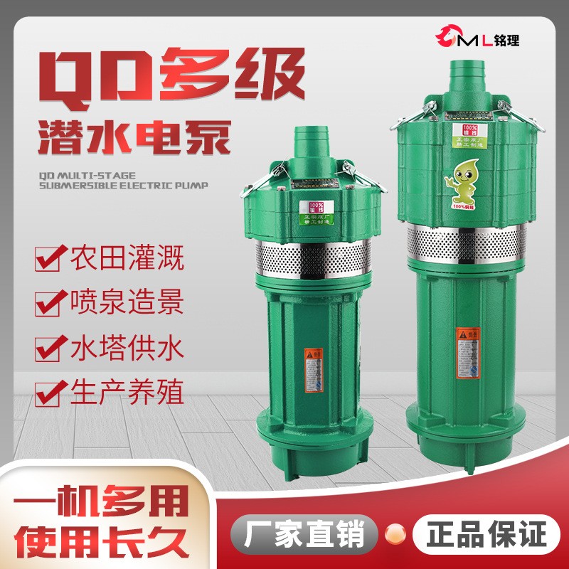 QD多级潜水泵家用农用灌溉高扬程厂家直销单相220V小老鼠现货批发图4