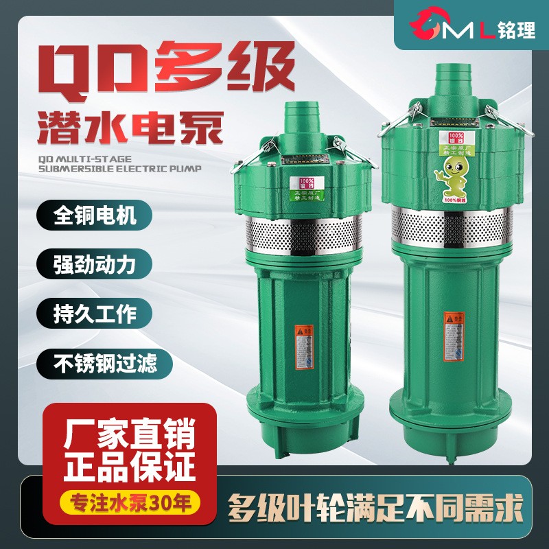 QD多级潜水泵家用农用灌溉高扬程厂家直销单相220V小老鼠现货批发图2