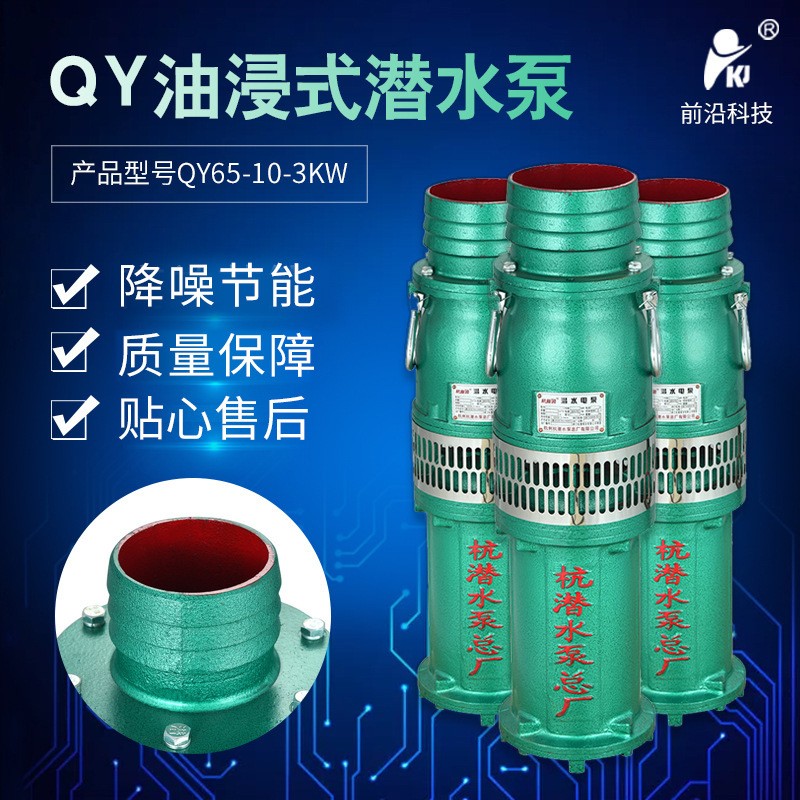 潜水泵厂家 深井泵 电动泵 井用潜水泵 潜水电泵 农田灌溉污水泵图2