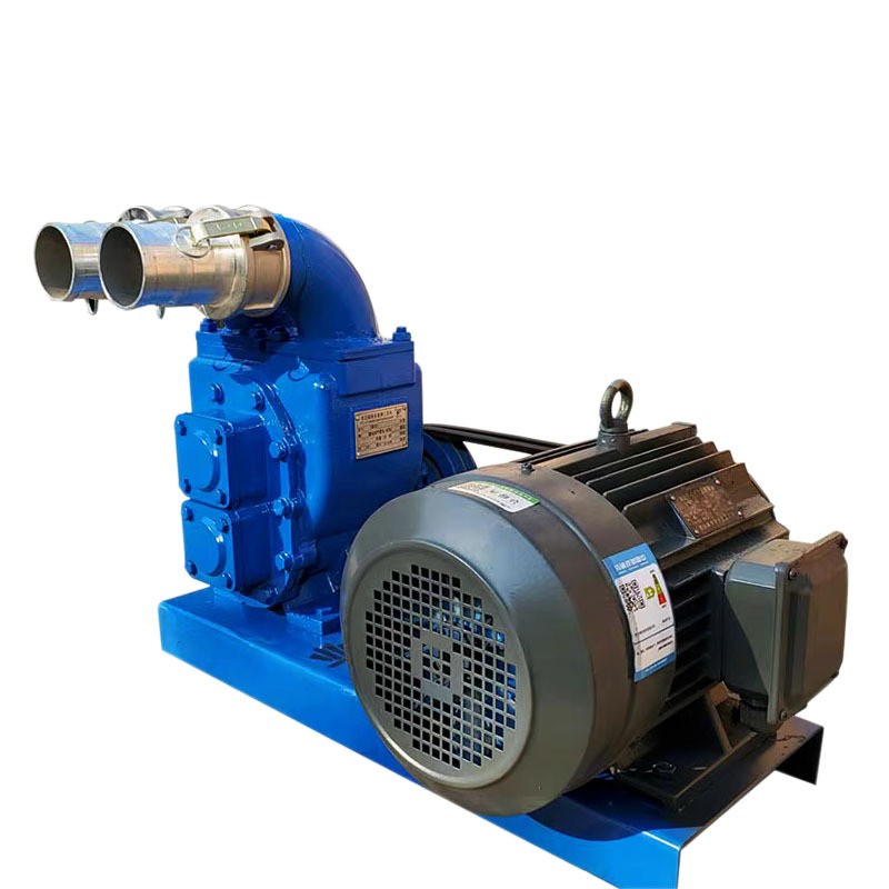 双科新款直吸直排吸粪泵乡村养殖场专用排污泵高扬程化粪池抽粪泵图3