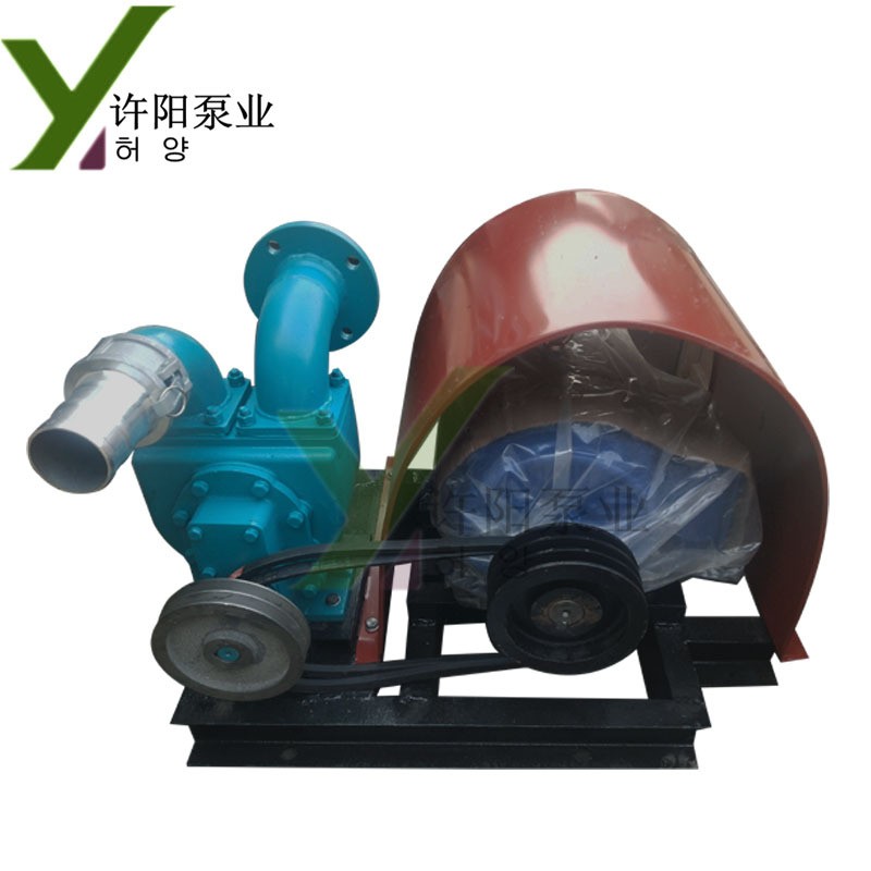 双科新款直吸直排吸粪泵乡村养殖场专用排污泵高扬程化粪池抽粪泵图5