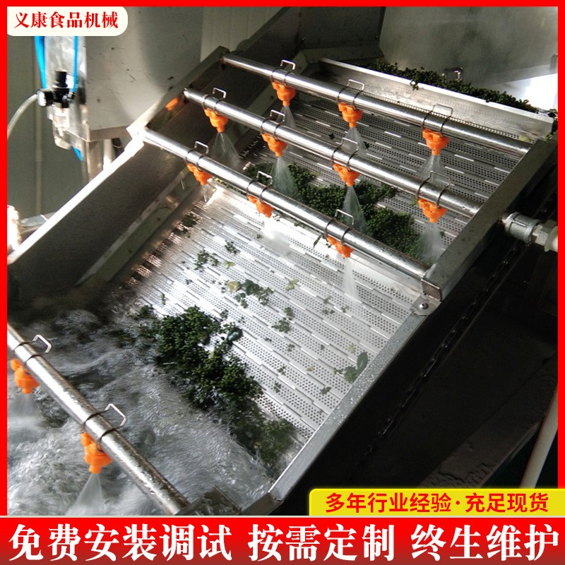 不锈钢花椒杀青机设备 花椒清洗烘干设备花椒一体化处理设备图2