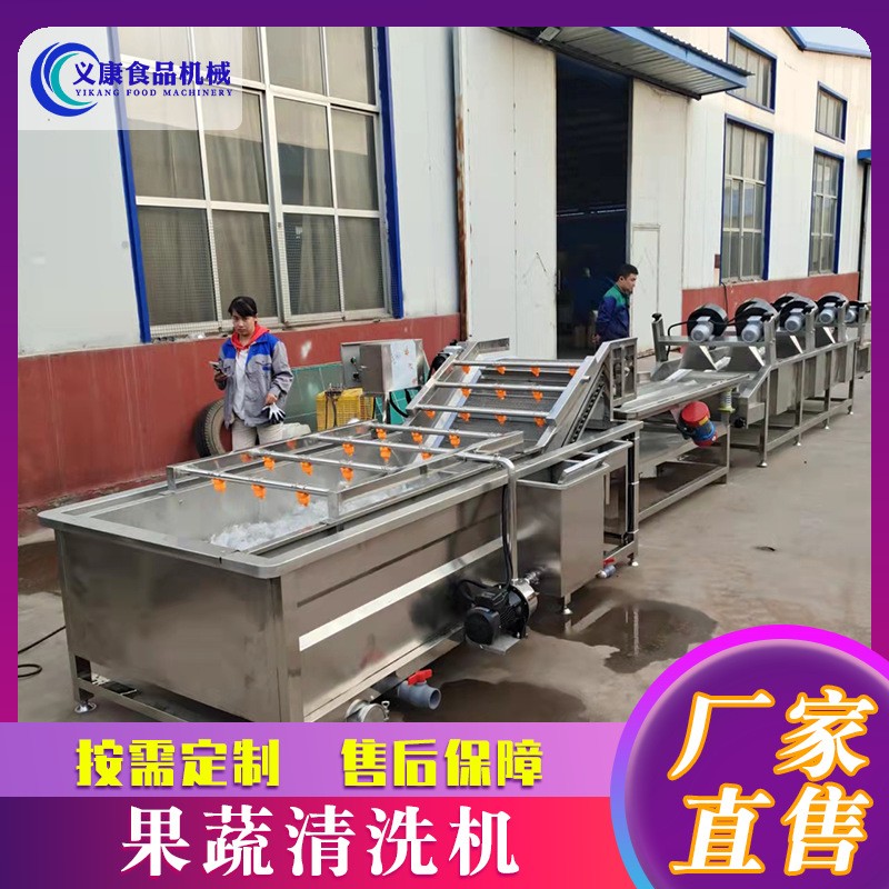 果蔬气泡清洗机 大枣小龙虾翻浪净菜流水线 辣椒毛豆果蔬清洗设备图2