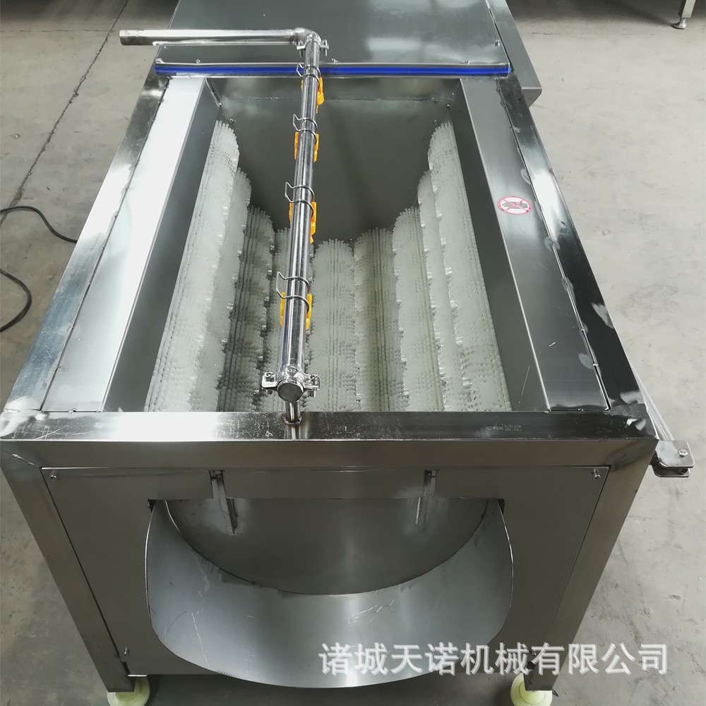 毛辊喷淋清洗机 野生带鱼清洗去鳞机 多功能果蔬菜毛辊去皮清洗机图5