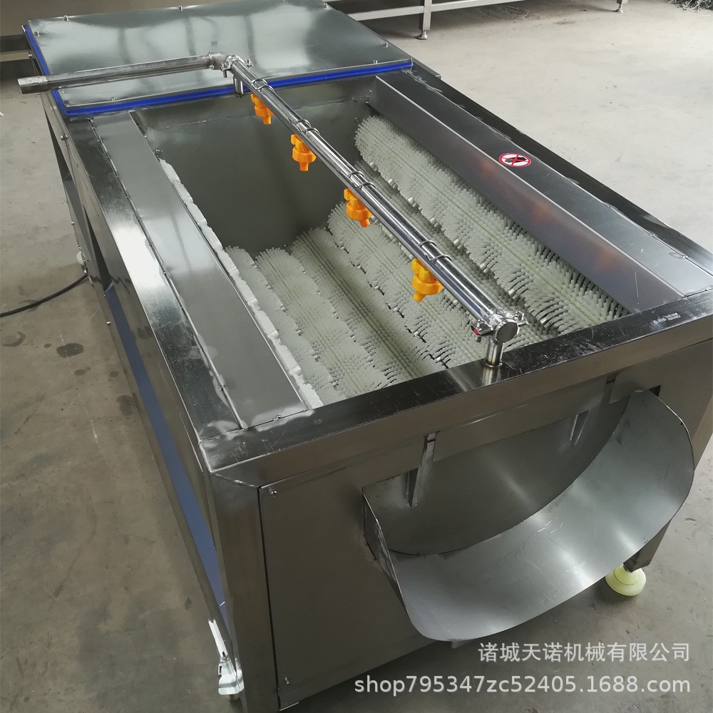 毛辊喷淋清洗机 野生带鱼清洗去鳞机 多功能果蔬菜毛辊去皮清洗机图3