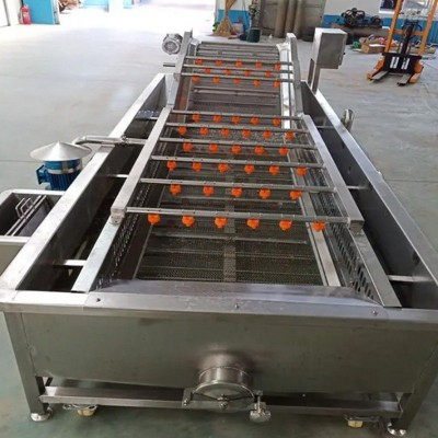 厂家供应软包装袋清洗机 蔬菜瓜果气泡清洗流水线 水产品清洗设备