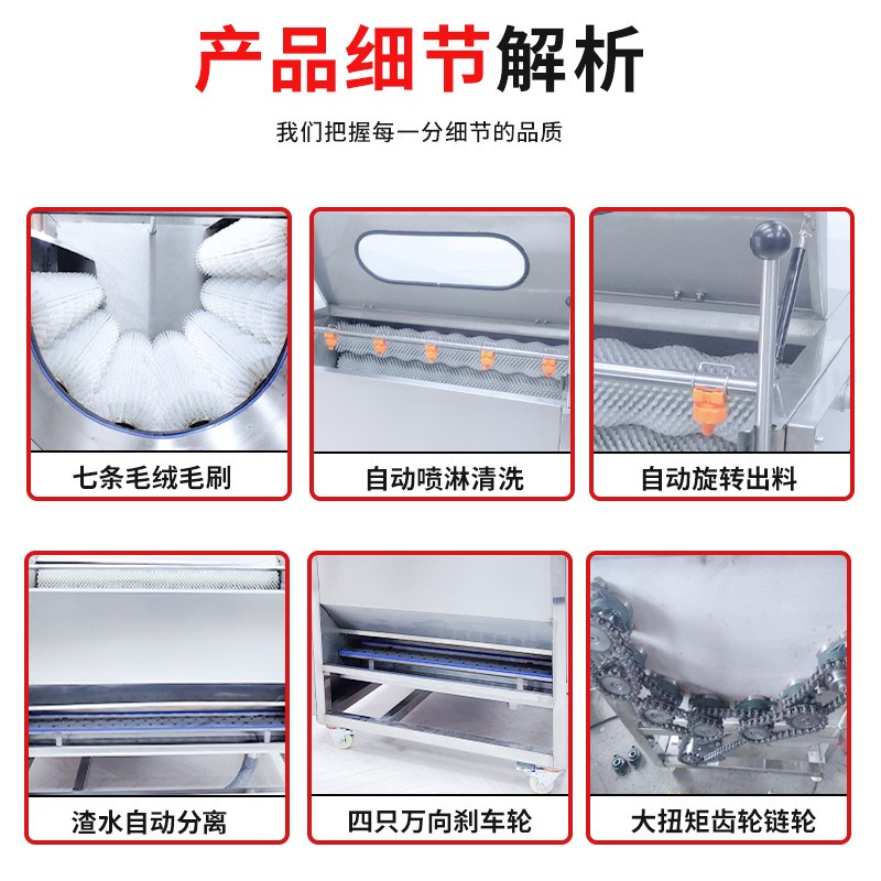 猎鹰毛刷脱皮清洗机土豆全自动姜芋头莲藕萝卜生蚝猪蹄毛棍去皮机图2